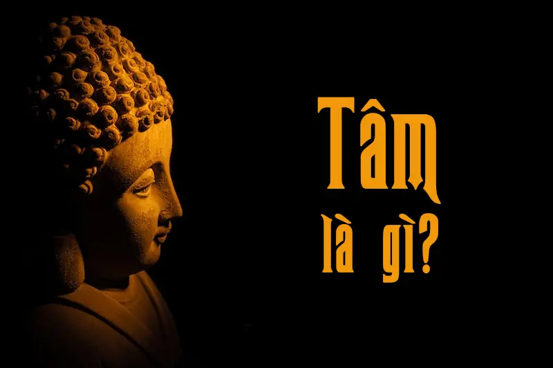 Tập thể dục và dinh dưỡng giúp cách làm khuôn mặt sáng hơn