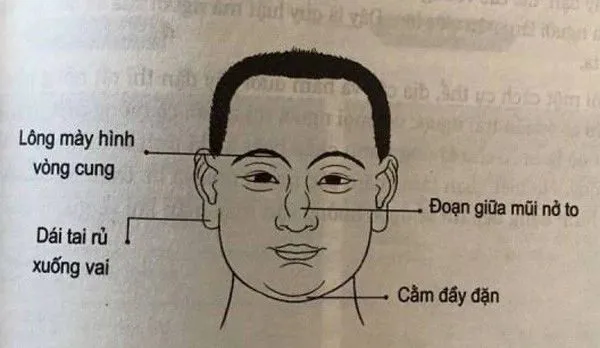 Tướng mặt người rộng lượng, khéo léo