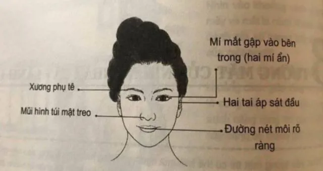 10 Cách xem nhân tướng học Nam, Nữ đoán vận mệnh