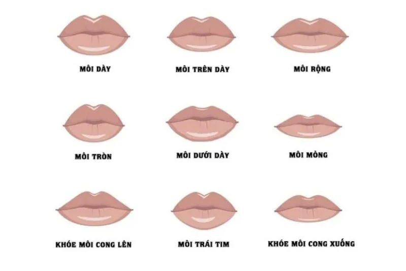 PHÂN BIỆT KIỂU MÔI QUA NHÂN TƯỚNG HỌC