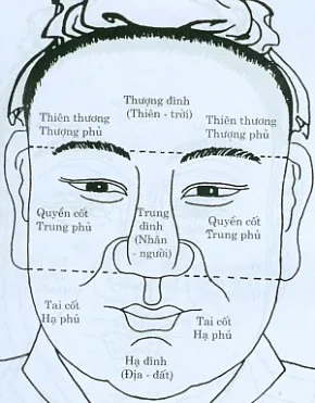 ☯ [Phong Thủy - Nhân Tướng Học] TAM ĐÌNH LÀ GÌ? Bài 2 - Vưu Thanh Dịch Học  Đường