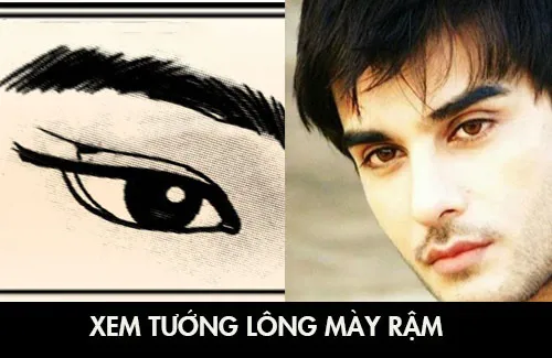 Lông Mày Rậm: Hé Lộ Bí Ẩn Tính Cách & Vận Mệnh Cho Nam & Nữ