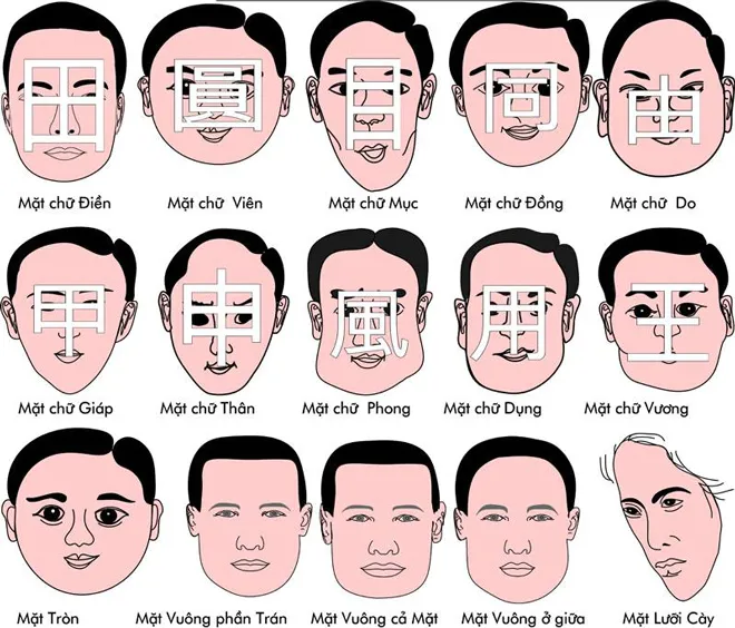 Khoa học tâm linh Việt Nam - tử vi, xem tướng, hướng nhà, phong thủy, chọn  ngày, tứ phủ, tam phủ, sách cúng
