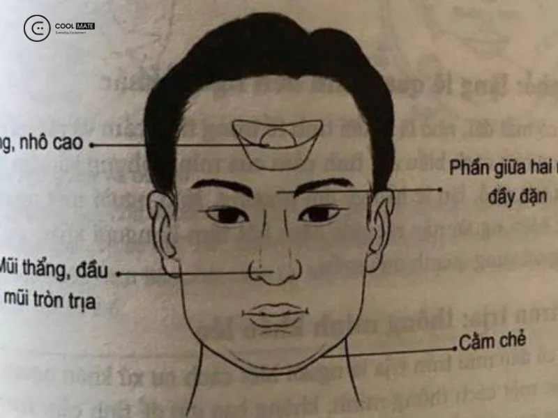 Tướng mặt người đàn ông giàu sang