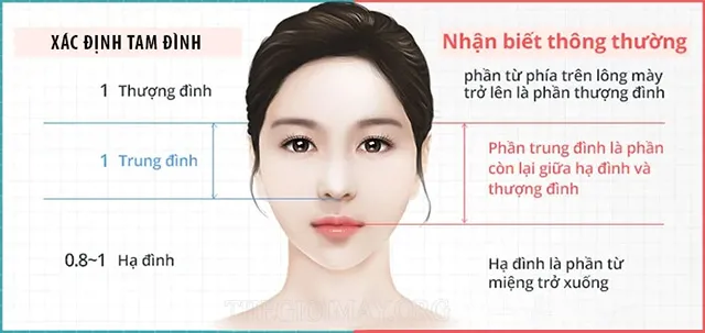 ☯ [Phong Thủy - Nhân Tướng Học] TAM ĐÌNH LÀ GÌ? Bài 2 - Vưu Thanh Dịch Học  Đường