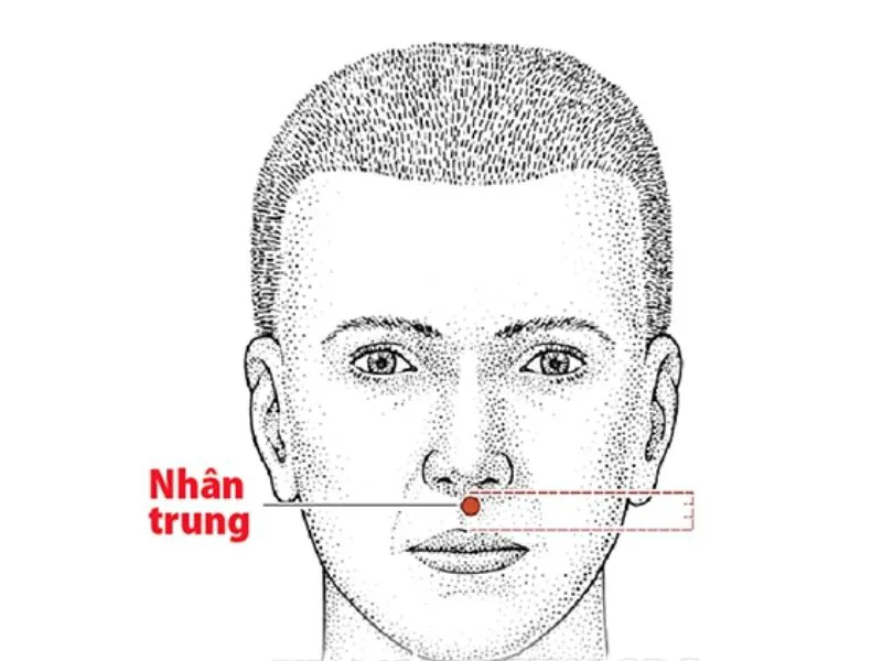 Nhân trung là gì? Xem tướng nhân trung nam giới - Coolmate