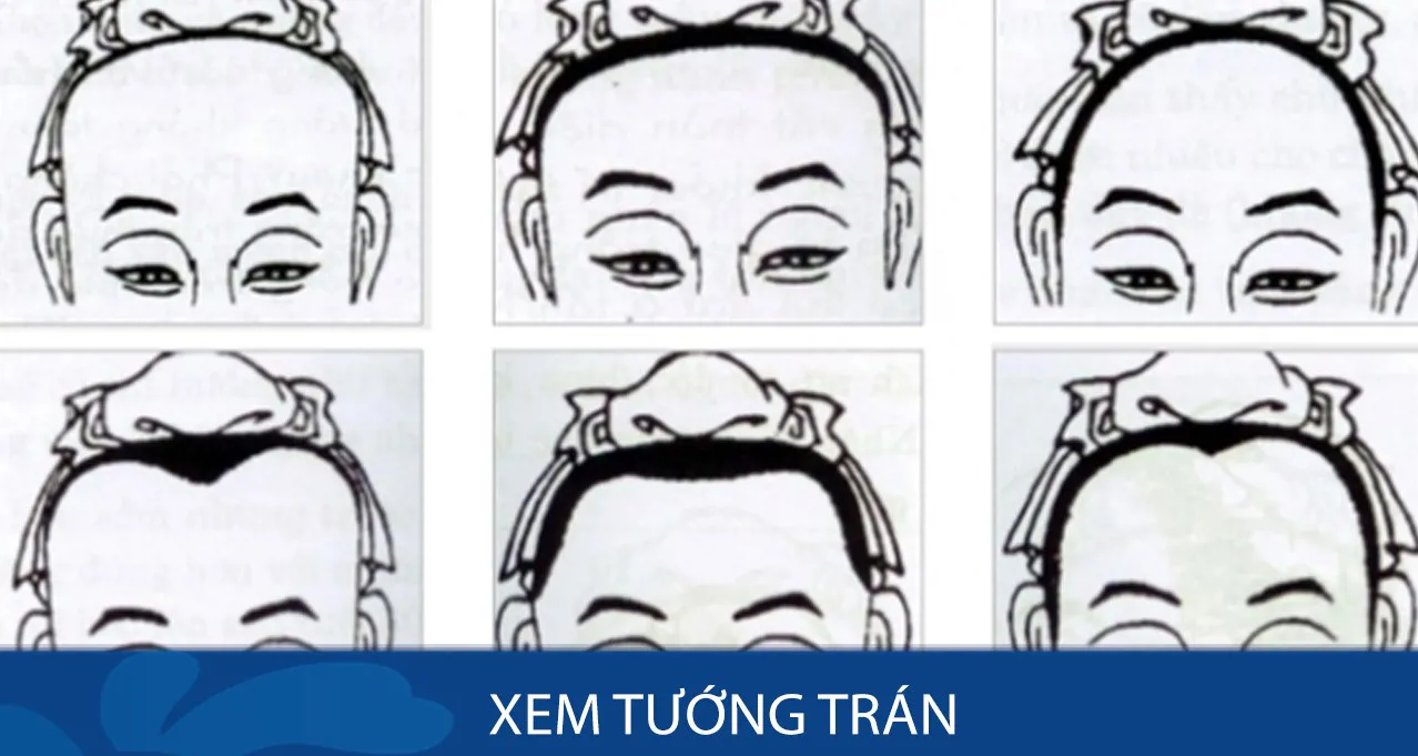 Tự xem số phận theo nhân tướng học: Bí ẩn đa dạng của các ...