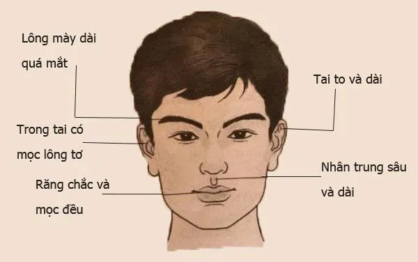 Thần tướng mặt của người trường thọ
