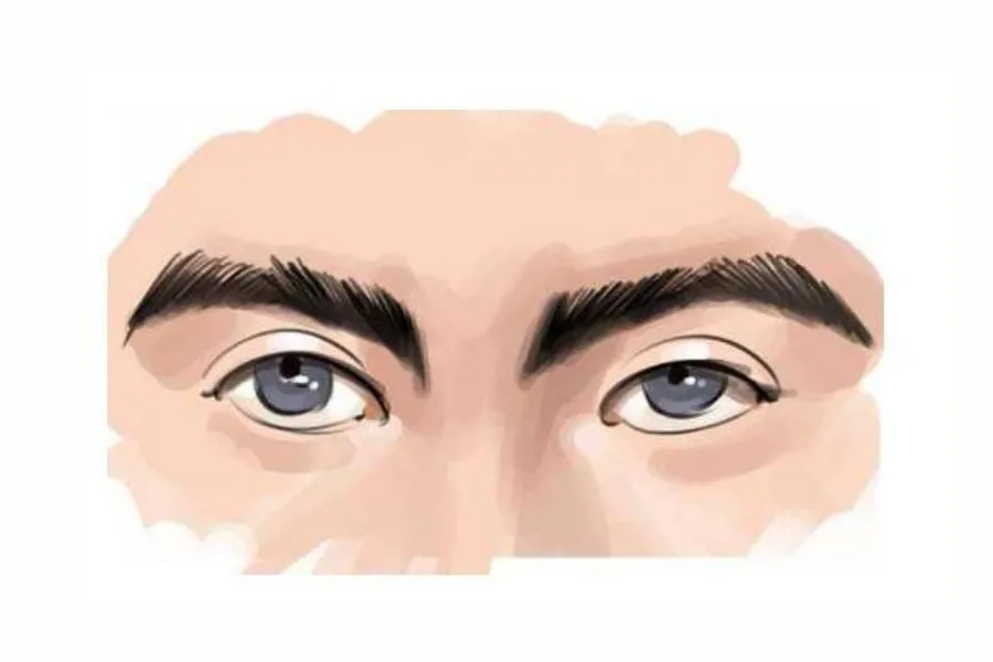 Xem tướng lông mày nam, nữ biết ngay tính cách