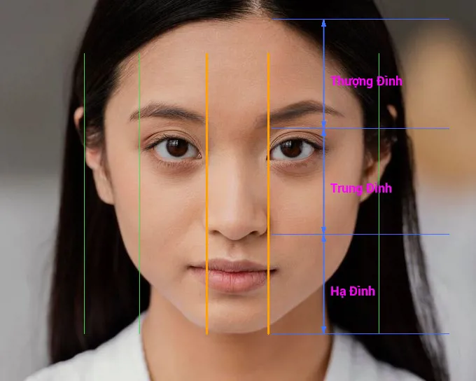 ☯ [Phong Thủy - Nhân Tướng Học] TAM ĐÌNH LÀ GÌ? Bài 2 - Vưu Thanh Dịch Học  Đường