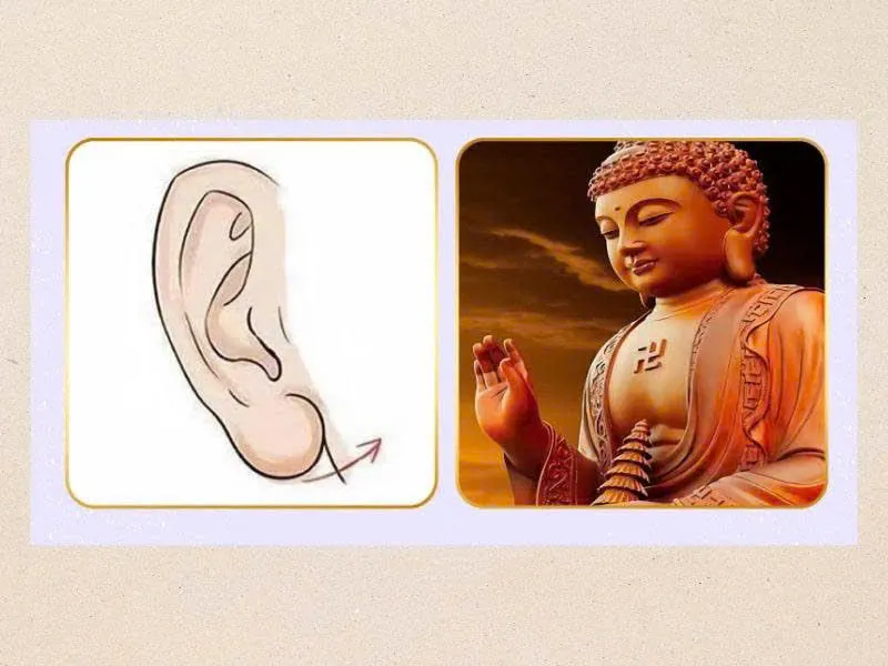 Bàn luận về tướng tai và các bộ phận khác trên khuôn mặt