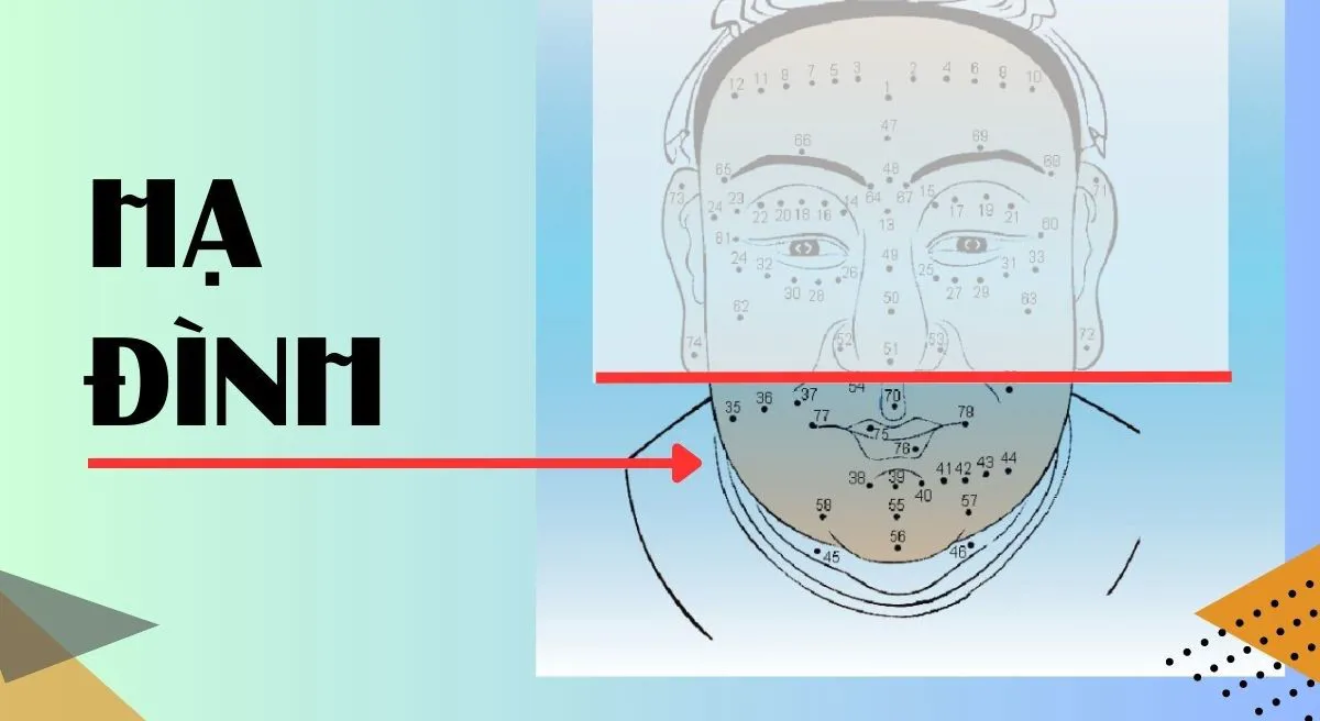 ☯ [Phong Thủy - Nhân Tướng Học] TAM ĐÌNH LÀ GÌ? Bài 2 - Vưu Thanh Dịch Học  Đường