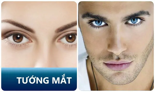Ánh mắt người phản bội: Dấu hiệu nhận biết qua ánh mắt và cách phòng tránh giao tiếp thường ngày