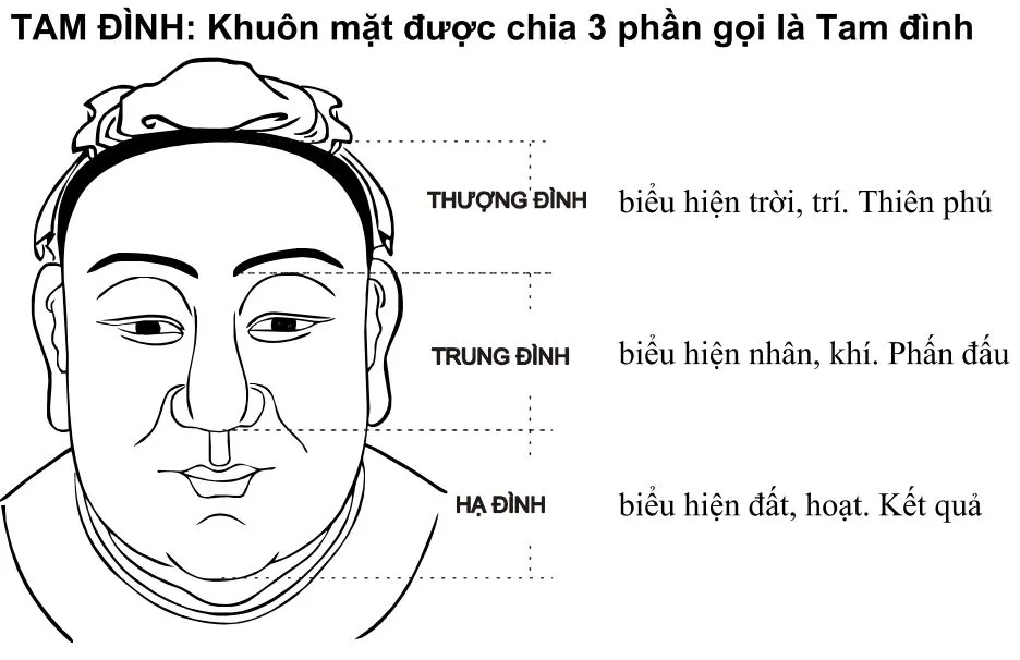 Nhân tướng học là gì?