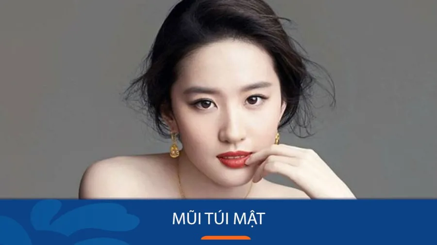 Tướng mũi giữ tiền có đặc điểm như thế nào trong Nhân Tướng Học