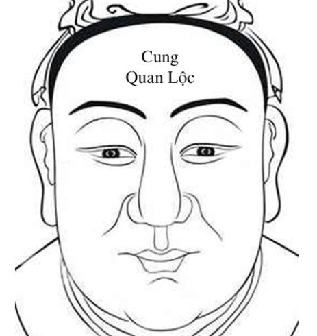Luận tướng Trán (cung Quan Lộc) - Đoán tính cách vận mệnh
