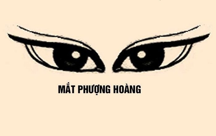 Mắt Phượng là gì? Ý nghĩa và đặc điểm trong nhân tướng học