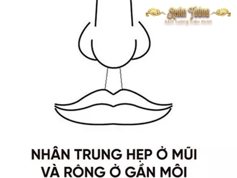 Luận tướng Nhân Trung hẹp, dưới rộng: Ý nghĩa về Tính cách, Sự nghiệp và Cuộc đời