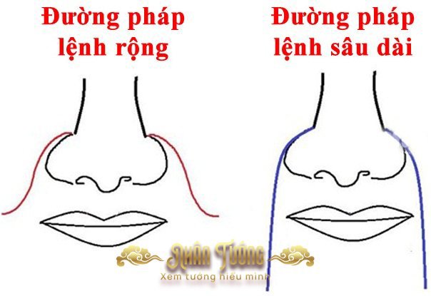 Đường Pháp Lệnh Ở Phụ Nữ – Dấu Ấn Phúc Khí Và Vận Trình Cuộc Đời