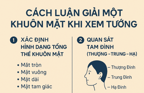 Cách luận giải một khuôn mặt khi xem tướng – Hiểu người, hiểu mình