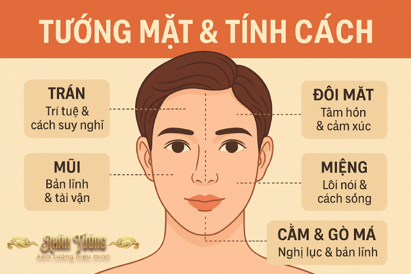 Tướng mặt & Tính cách – Nhìn mặt đoán người có đúng không?
