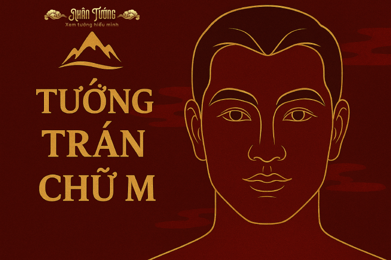 Tướng Trán chữ M trong Nhân Tướng Học: Ý Nghĩa, Tính Cách và Vận Mệnh