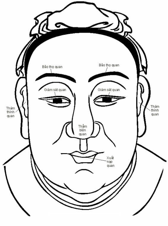 Ngũ quan trên khuôn mặt: ý nghĩa – cấu trúc – cách xem tướng chuyên sâu