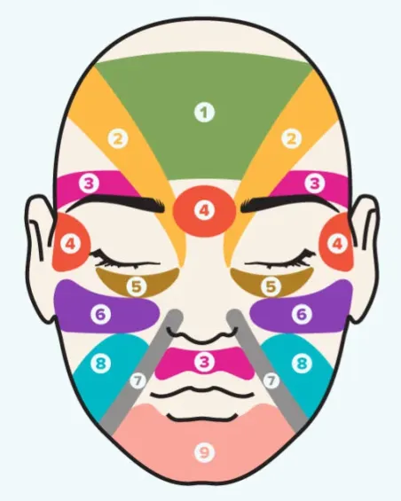 13 Bộ Vị Quan Trọng Trên Khuôn Mặt – Nền Tảng Cốt Lõi Trong Nhân Tướng Học - P1