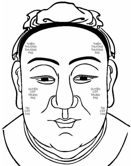 Nhân Tướng Học Là Gì? Khám Phá Bộ Môn Giải Mã Khuôn Mặt Và Vận Mệnh Con Người