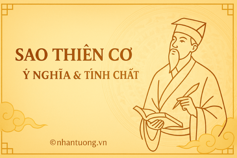 Ý nghĩa sao Thiên Cơ trong Tử Vi – Luận giải chi tiết theo từng cung