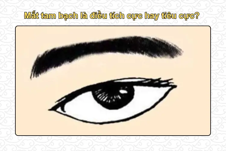 Mắt tam bạch nhân tướng: Phân loại, ý nghĩa và cách nhìn hiện đại
