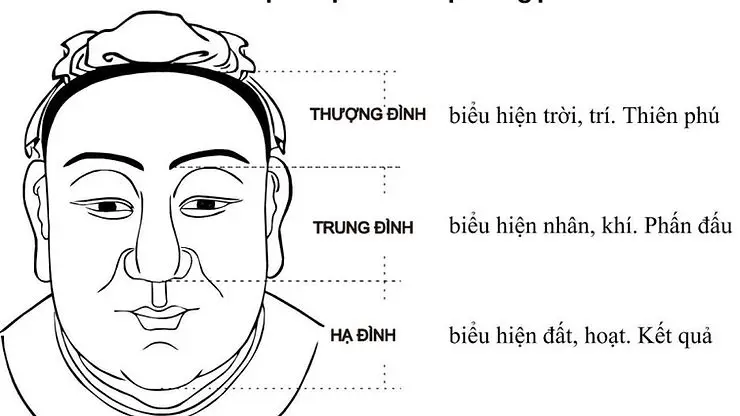 Có nên tin hoàn toàn vào nhân tướng học: nhân tướng có chính xác không và cách ứng dụng