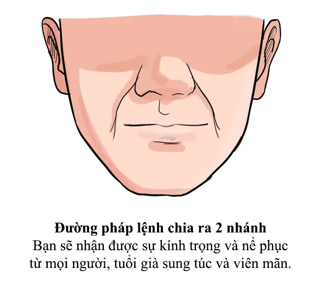 So sánh pháp lệnh nông và dài trên khuôn mặt đàn ông