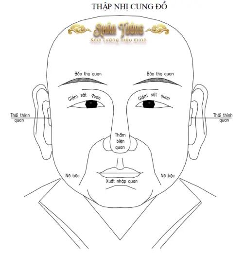 Bản đồ 12 cung trên khuôn mặt theo Kinh Dịch với vị trí Cung Mệnh và Quan Lộc