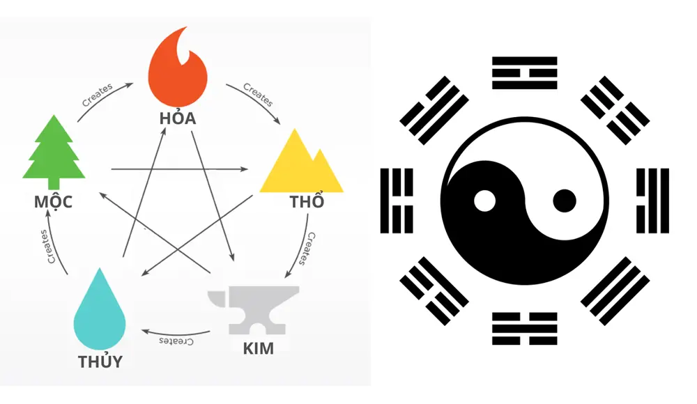 So sánh khuôn mặt ngũ hành và nghề nghiệp phù hợp theo nhân tướng