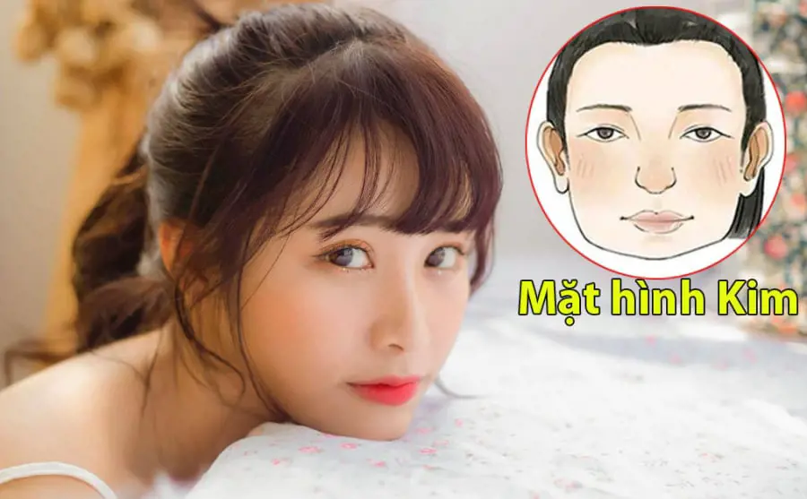 Sơ đồ minh họa phân loại khuôn mặt ngũ hành Mặt Kim Mộc Thủy Hỏa Thổ