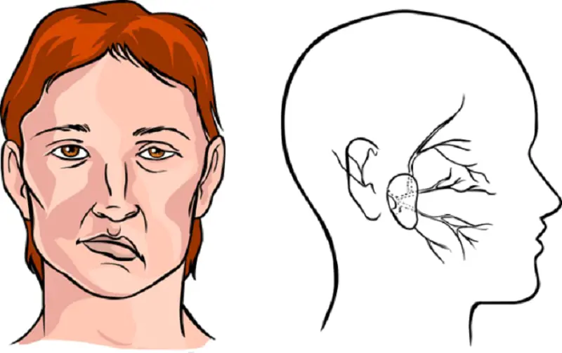 Micro expression là gì và liên hệ với nhân tướng học: Đọc nét mặt vi mô để cải tướng