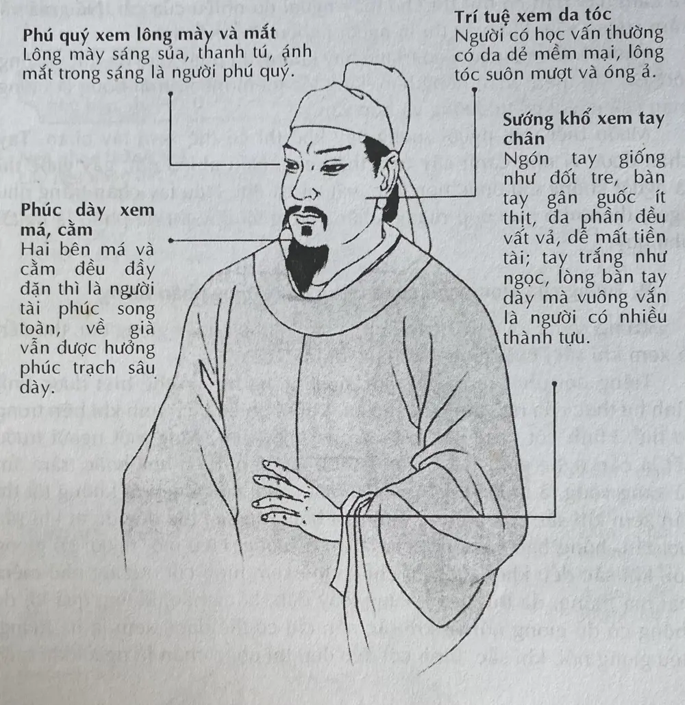 Ngũ nhạc triều quy: mũi trán cằm gò má thái dương