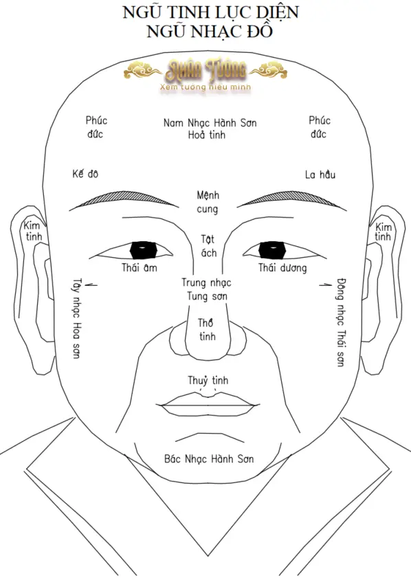 Ngũ nhạc trong nhân tướng học: 5 núi trên mặt và ý nghĩa phú quý
