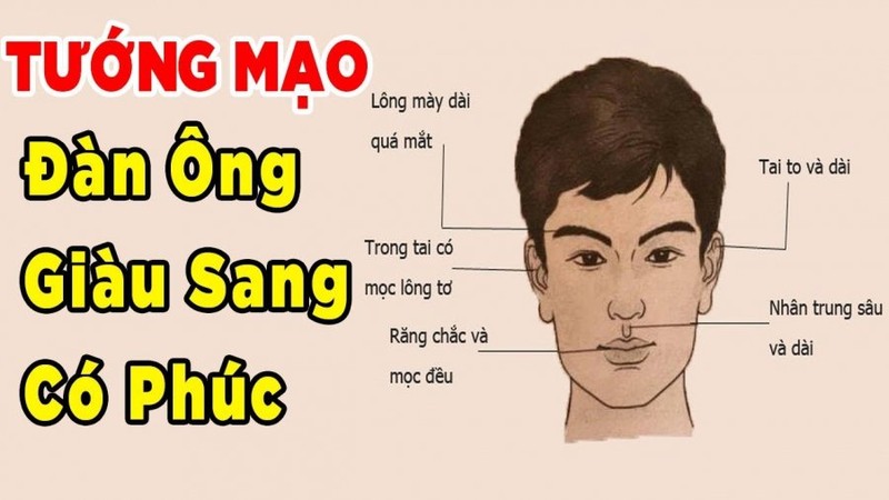Nhân tướng học không nên dùng để phán xét người khác: Hướng dẫn xem tướng có trách nhiệm