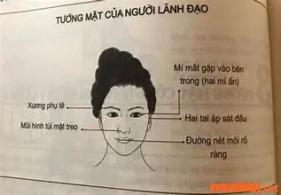 Nhân tướng học khuôn mặt phụ nữ: Nhìn tổng thể để nhận biết tướng mặt phụ nữ