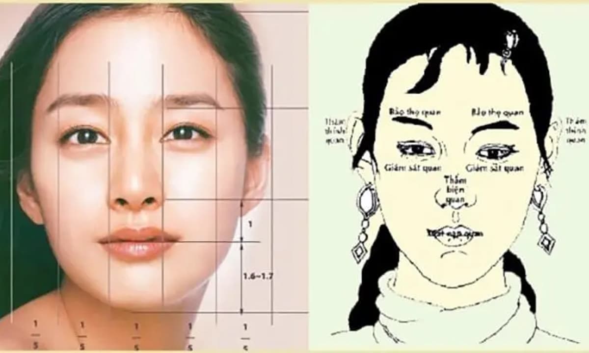 Nhân tướng học là gì và vì sao nhiều người quan tâm: xem nhân tướng, tướng số ứng dụng