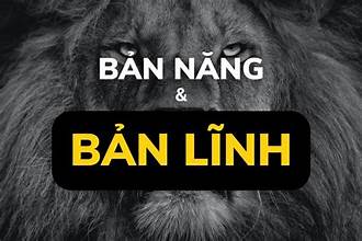 Nhân tướng học nữ: Dấu hiệu và cách phân tích tướng phụ nữ bản lĩnh thời hiện đại