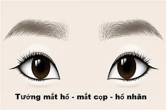 Nhân tướng học online có đáng tham khảo? Hướng dẫn xem tướng online thực tế và đáng tin
