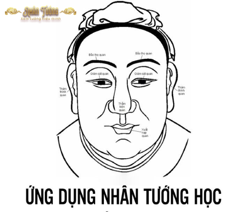 Nhân tướng khoa học: Tiếp cận nhân tướng học bằng phương pháp thực nghiệm và ứng dụng hiện đại