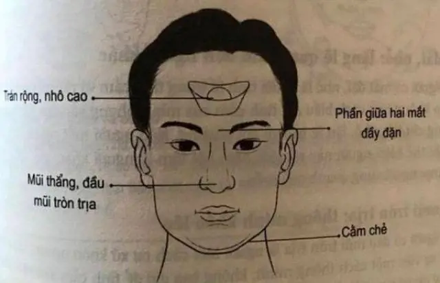 Nhân tướng và con đường thăng tiến: Nhận diện tướng thành công để xây dựng sự nghiệp bền vững