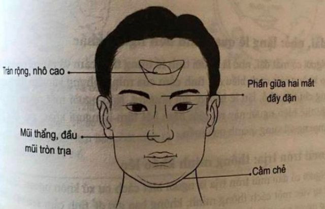 Nhân tướng và con đường thăng tiến: Nhận diện tướng thành công để xây dựng sự nghiệp bền vững