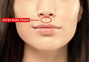 Nhìn nhân trung đoán phần nào hậu vận con người: Giải mã tướng nhân trung trong nhân tướng học