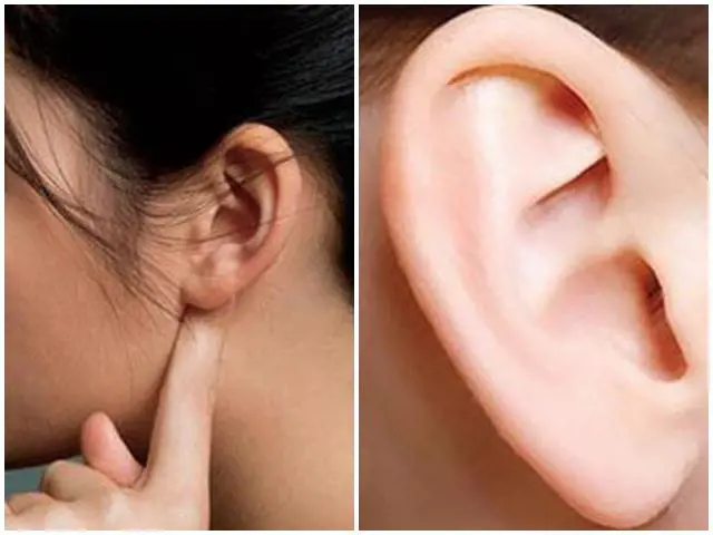 Tai dày phúc tướng: Nhận diện dấu hiệu trên vành tai và cách cải tướng để tăng phúc khí