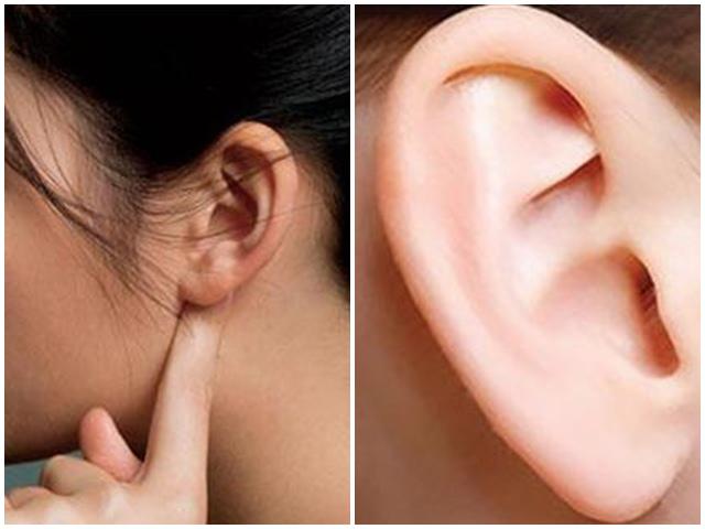 Tai dày phúc tướng: Nhận diện dấu hiệu trên vành tai và cách cải tướng để tăng phúc khí
